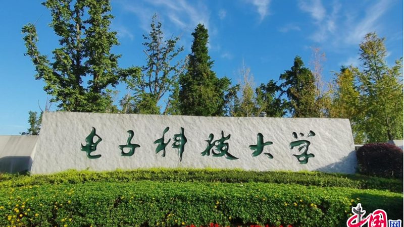 国产二极管：揭秘其供应生态与选型关键