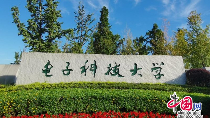 案例分析：如何识破假货